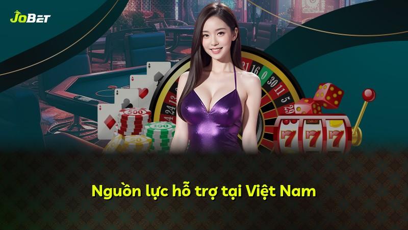 Nguồn lực hỗ trợ tại Việt Nam
